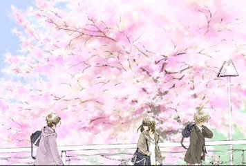 91含羞草实验所